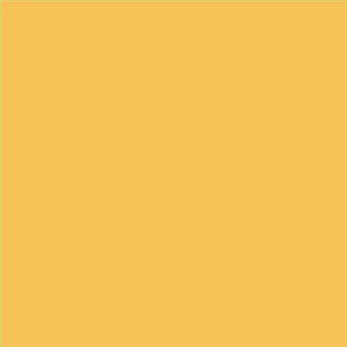 PINTURA PLASTICA MATE JUNOPROF CALIDAD SUPERIOR (OFERTA) COLOR S 1050-Y10R