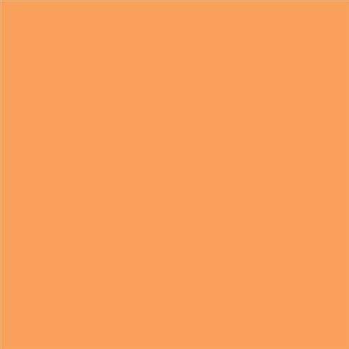 PINTURA PLASTICA MATE JUNOPROF CALIDAD SUPERIOR (OFERTA) COLOR S 1050-Y40R
