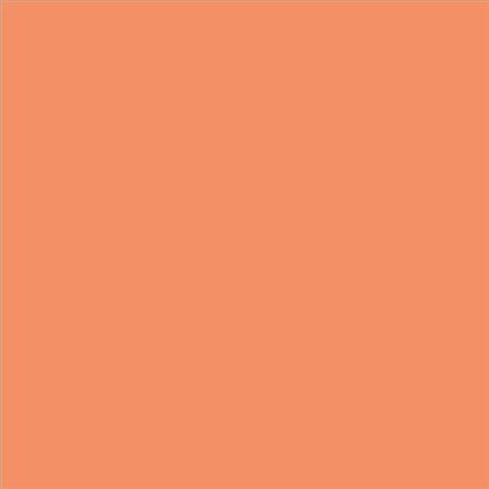 PINTURA PLASTICA MATE JUNOPROF CALIDAD SUPERIOR (OFERTA) COLOR S 1050-Y60R