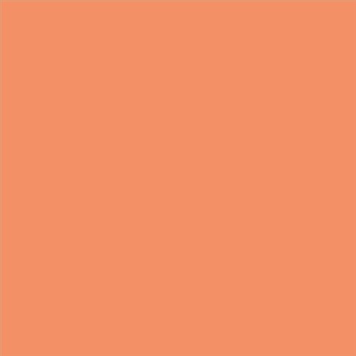 PINTURA PLASTICA MATE JUNOPROF CALIDAD SUPERIOR (OFERTA) COLOR S 1050-Y60R