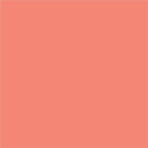 PINTURA PLASTICA MATE JUNOPROF CALIDAD SUPERIOR (OFERTA) COLOR S 1050-Y80R