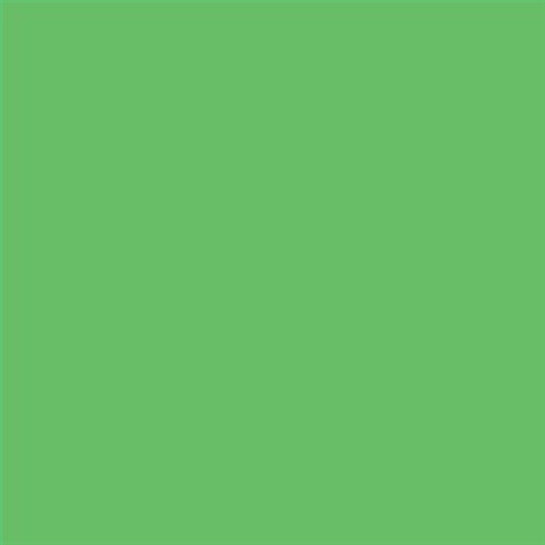 PINTURA PLASTICA MATE JUNOPROF CALIDAD SUPERIOR (OFERTA) COLOR S 1060-G20Y