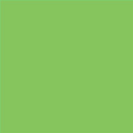 PINTURA PLASTICA MATE JUNOPROF CALIDAD SUPERIOR (OFERTA) COLOR S 1060-G30Y