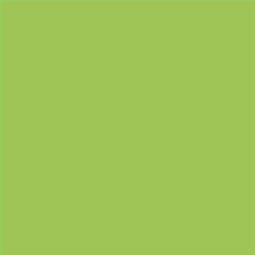 PINTURA PLASTICA MATE JUNOPROF CALIDAD SUPERIOR (OFERTA) COLOR S 1060-G40Y