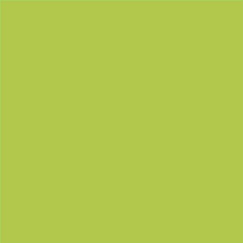 PINTURA PLASTICA MATE JUNOPROF CALIDAD SUPERIOR (OFERTA) COLOR S 1060-G50Y