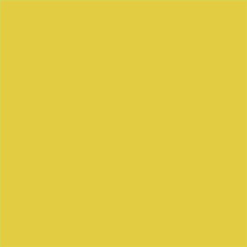 PINTURA PLASTICA MATE JUNOPROF CALIDAD SUPERIOR (OFERTA) COLOR S 1060-G90Y-GL
