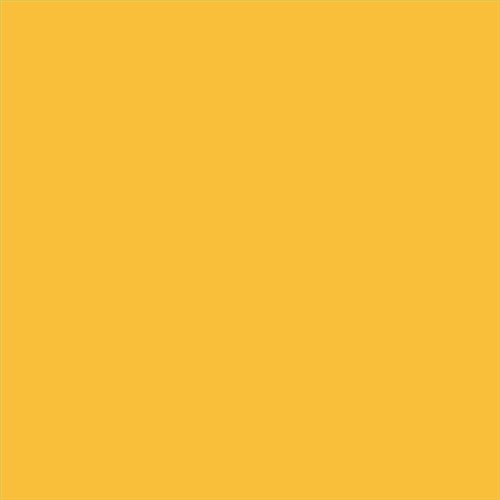 PINTURA PLASTICA MATE JUNOPROF CALIDAD SUPERIOR (OFERTA) COLOR S 1060-Y10R