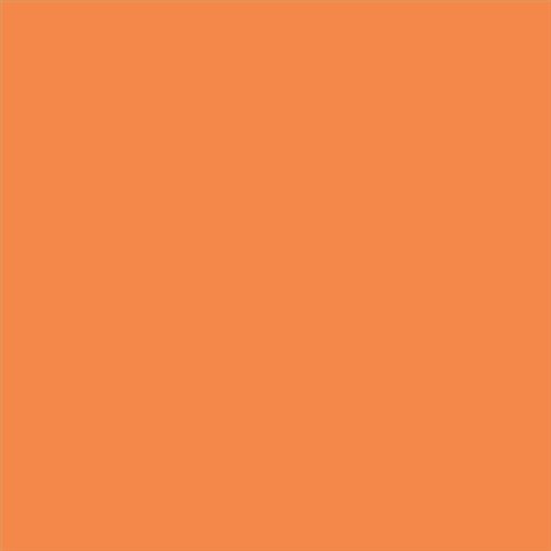 PINTURA PLASTICA MATE JUNOPROF CALIDAD SUPERIOR (OFERTA) COLOR S 1060-Y50R