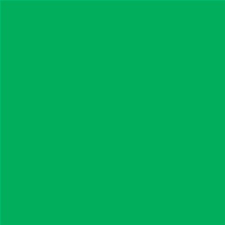 PINTURA PLASTICA MATE JUNOPROF CALIDAD SUPERIOR (OFERTA) COLOR S 1070-G10Y
