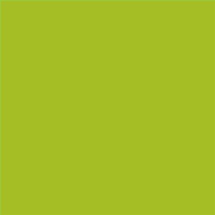 PINTURA PLASTICA MATE JUNOPROF CALIDAD SUPERIOR (OFERTA) COLOR S 1070-G50Y