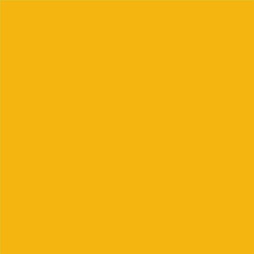 PINTURA PLASTICA MATE JUNOPROF CALIDAD SUPERIOR (OFERTA) COLOR S 1070-Y10R