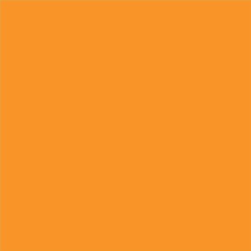 PINTURA PLASTICA MATE JUNOPROF CALIDAD SUPERIOR (OFERTA) COLOR S 1070-Y30R-GL