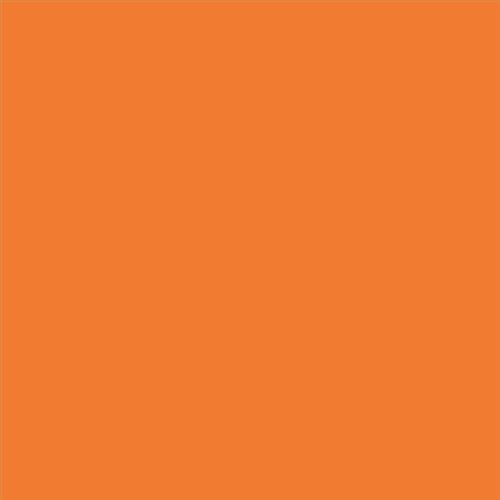 PINTURA PLASTICA MATE JUNOPROF CALIDAD SUPERIOR (OFERTA) COLOR S 1070-Y50R-GL
