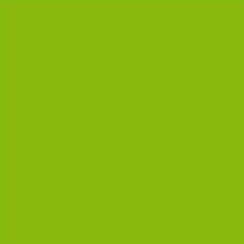 PINTURA PLASTICA MATE JUNOPROF CALIDAD SUPERIOR (OFERTA) COLOR S 1075-G40Y