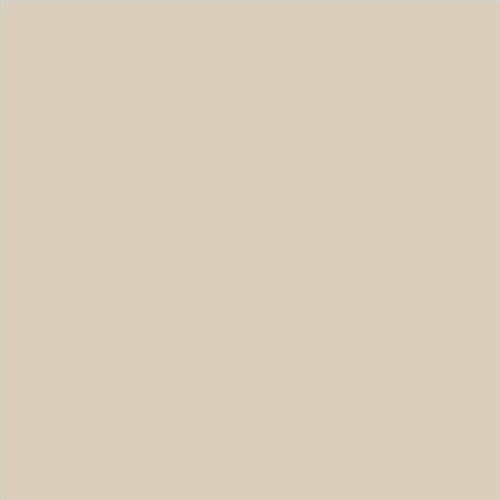 PINTURA PLASTICA MATE JUNOPROF CALIDAD SUPERIOR (OFERTA) COLOR S 1505-Y40R