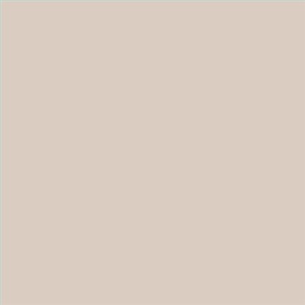 PINTURA PLASTICA MATE JUNOPROF CALIDAD SUPERIOR (OFERTA) COLOR S 1505-Y60R