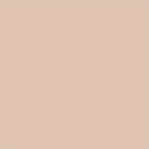 PINTURA PLASTICA MATE JUNOPROF CALIDAD SUPERIOR (OFERTA) COLOR S 1510-Y50R