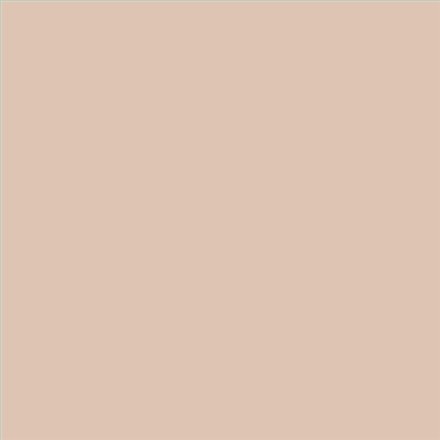 PINTURA PLASTICA MATE JUNOPROF CALIDAD SUPERIOR (OFERTA) COLOR S 1510-Y60R
