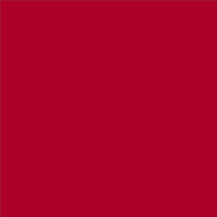 PINTURA PLASTICA MATE JUNOPROF CALIDAD SUPERIOR (OFERTA) COLOR S 1580-R