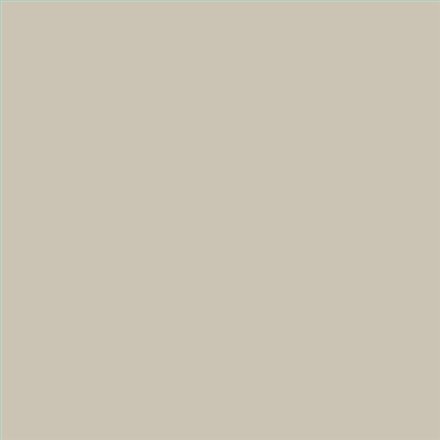 PINTURA PLASTICA MATE JUNOPROF CALIDAD SUPERIOR (OFERTA) COLOR S 2005-Y20R