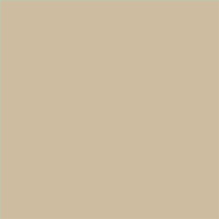 PINTURA PLASTICA MATE JUNOPROF CALIDAD SUPERIOR (OFERTA) COLOR S 2010-Y20R