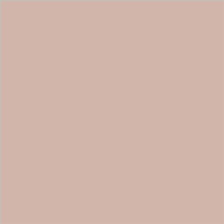 PINTURA PLASTICA MATE JUNOPROF CALIDAD SUPERIOR (OFERTA) COLOR S 2010-Y70R