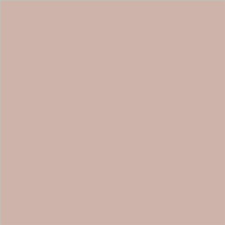PINTURA PLASTICA MATE JUNOPROF CALIDAD SUPERIOR (OFERTA) COLOR S 2010-Y80R