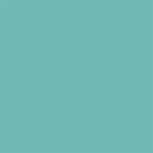 PINTURA PLASTICA MATE JUNOPROF CALIDAD SUPERIOR (OFERTA) COLOR S 2030-B60G