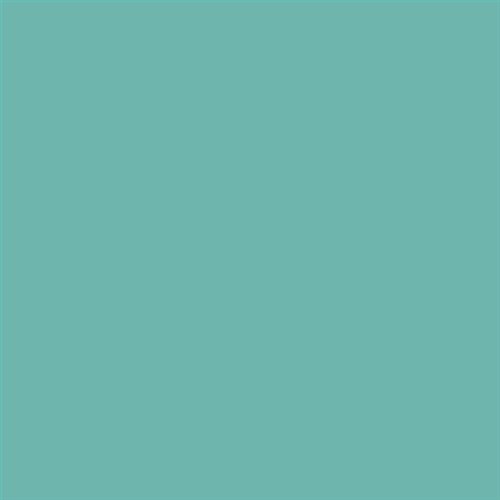PINTURA PLASTICA MATE JUNOPROF CALIDAD SUPERIOR (OFERTA) COLOR S 2030-B70G