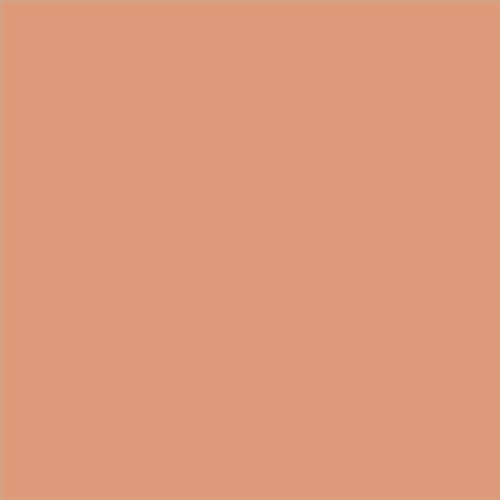 PINTURA PLASTICA MATE JUNOPROF CALIDAD SUPERIOR (OFERTA) COLOR S 2030-Y60R