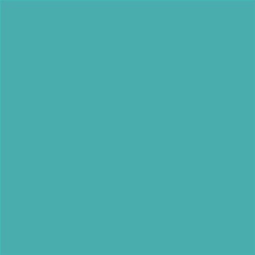 PINTURA PLASTICA MATE JUNOPROF CALIDAD SUPERIOR (OFERTA) COLOR S 2040-B50G
