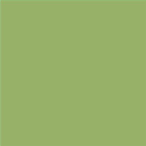 PINTURA PLASTICA MATE JUNOPROF CALIDAD SUPERIOR (OFERTA) COLOR S 2040-G40Y