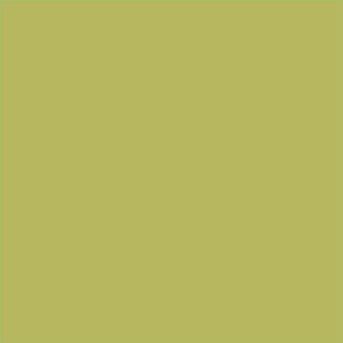 PINTURA PLASTICA MATE JUNOPROF CALIDAD SUPERIOR (OFERTA) COLOR S 2040-G70Y