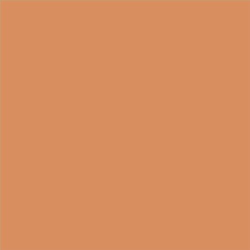 PINTURA PLASTICA MATE JUNOPROF CALIDAD SUPERIOR (OFERTA) COLOR S 2040-Y50R