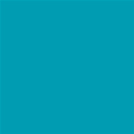 PINTURA PLASTICA MATE JUNOPROF CALIDAD SUPERIOR (OFERTA) COLOR S 2050-B20G