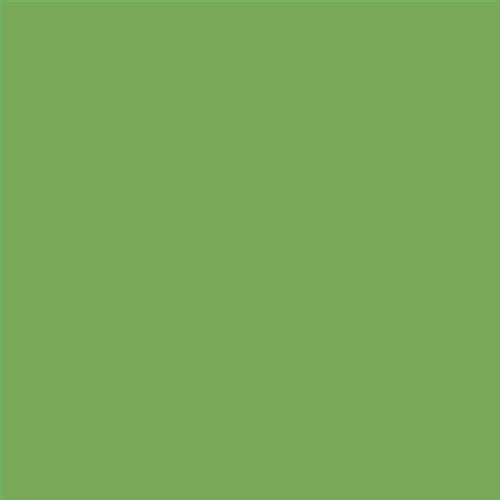 PINTURA PLASTICA MATE JUNOPROF CALIDAD SUPERIOR (OFERTA) COLOR S 2050-G30Y