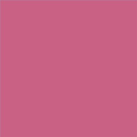 PINTURA PLASTICA MATE JUNOPROF CALIDAD SUPERIOR (OFERTA) COLOR S 2050-R20B