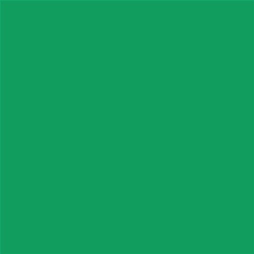 PINTURA PLASTICA MATE JUNOPROF CALIDAD SUPERIOR (OFERTA) COLOR S 2060-G10Y