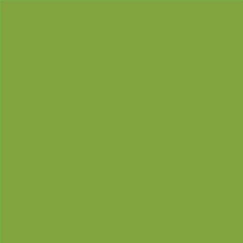 PINTURA PLASTICA MATE JUNOPROF CALIDAD SUPERIOR (OFERTA) COLOR S 2060-G40Y