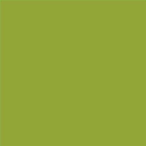 PINTURA PLASTICA MATE JUNOPROF CALIDAD SUPERIOR (OFERTA) COLOR S 2060-G50Y