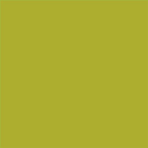 PINTURA PLASTICA MATE JUNOPROF CALIDAD SUPERIOR (OFERTA) COLOR S 2060-G70Y