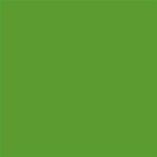 PINTURA PLASTICA MATE JUNOPROF CALIDAD SUPERIOR (OFERTA) COLOR S 2070-G30Y