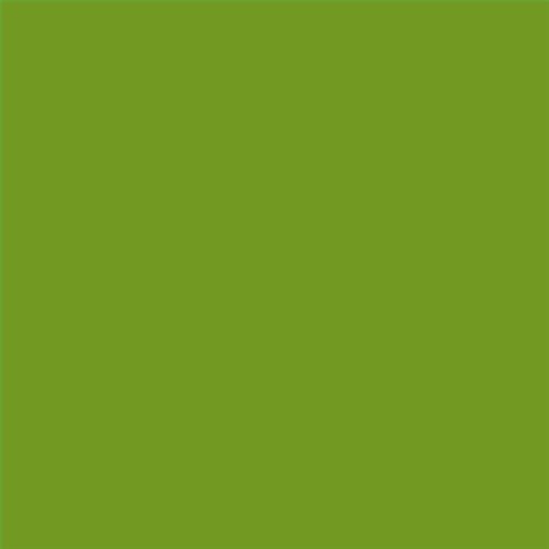 PINTURA PLASTICA MATE JUNOPROF CALIDAD SUPERIOR (OFERTA) COLOR S 2070-G40Y