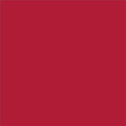 PINTURA PLASTICA MATE JUNOPROF CALIDAD SUPERIOR (OFERTA) COLOR S 2070-R