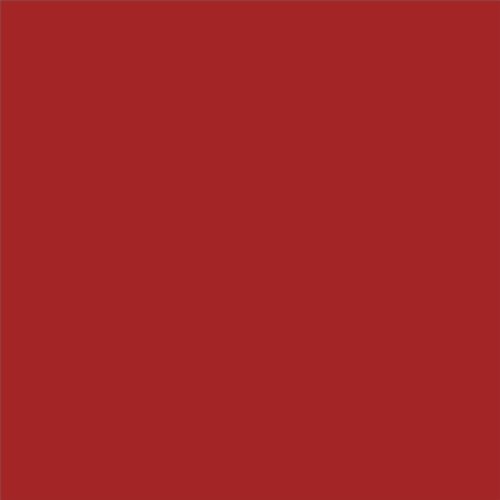 PINTURA PLASTICA MATE JUNOPROF CALIDAD SUPERIOR (OFERTA) COLOR S 2570-Y90R
