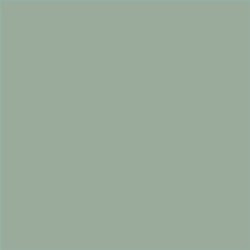 PINTURA PLASTICA MATE JUNOPROF CALIDAD SUPERIOR (OFERTA) COLOR S 3010-G20Y