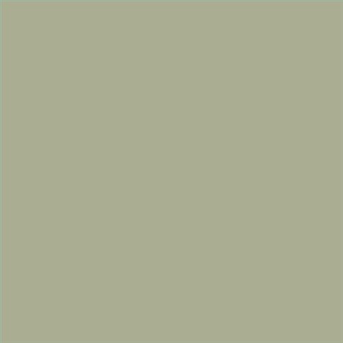 PINTURA PLASTICA MATE JUNOPROF CALIDAD SUPERIOR (OFERTA) COLOR S 3010-G70Y