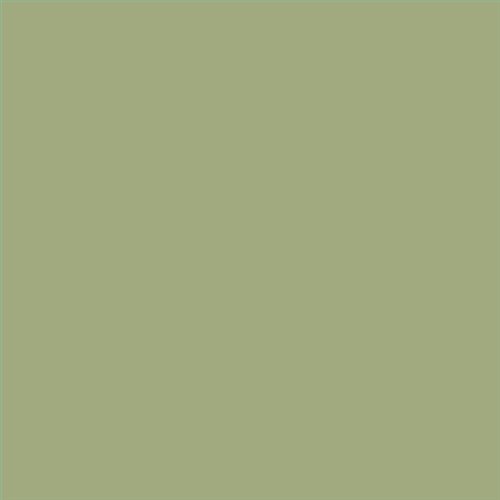 PINTURA PLASTICA MATE JUNOPROF CALIDAD SUPERIOR (OFERTA) COLOR S 3020-G50Y
