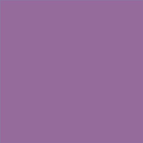 PINTURA PLASTICA MATE JUNOPROF CALIDAD SUPERIOR (OFERTA) COLOR S 3040-R50B
