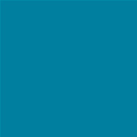 PINTURA PLASTICA MATE JUNOPROF CALIDAD SUPERIOR (OFERTA) COLOR S 3050-B10G